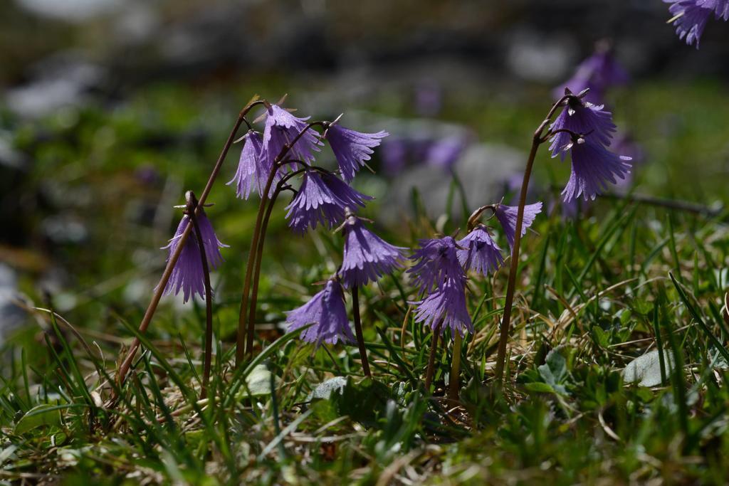 Pension Tina Neustift im Stubaital Luaran gambar