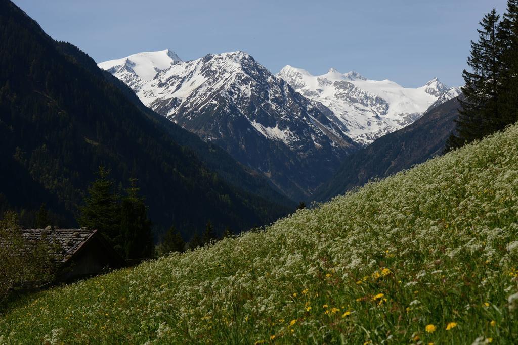 Pension Tina Neustift im Stubaital Luaran gambar