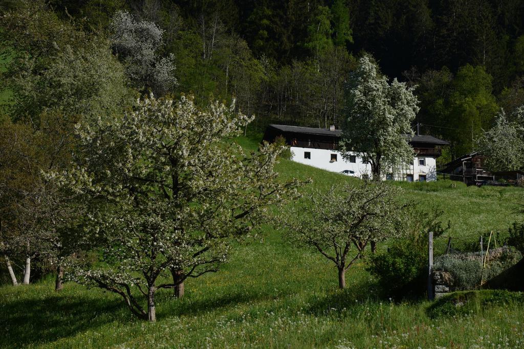 Pension Tina Neustift im Stubaital Luaran gambar