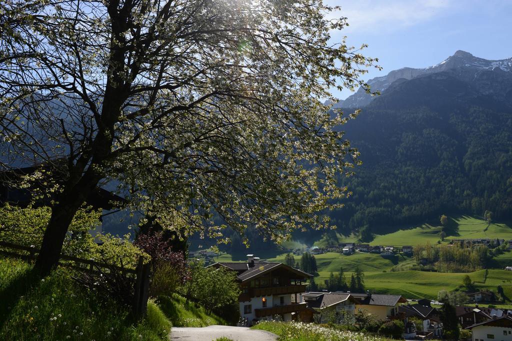 Pension Tina Neustift im Stubaital Luaran gambar