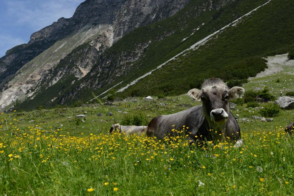 Pension Tina Neustift im Stubaital Luaran gambar