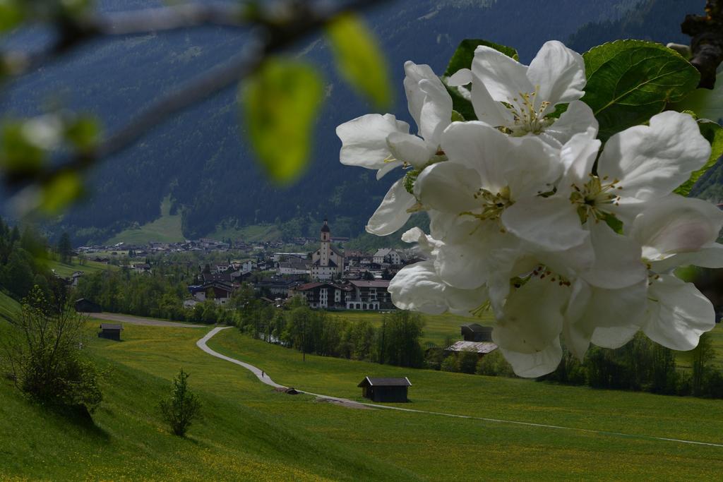 Pension Tina Neustift im Stubaital Luaran gambar