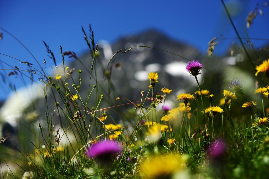 Pension Tina Neustift im Stubaital Luaran gambar